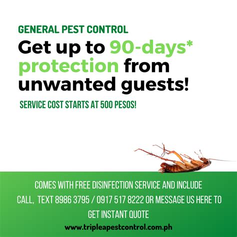 pest control service thunderbolt|Pest Control Services in the Philippines .